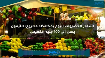 أسعار الخضروات اليوم بمحافظة مطروح: الليمون يصل إلى 100 جنيه الخميس
